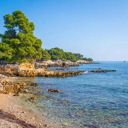 Apartment Sea View Flat With Car Park Boarder Cannes *